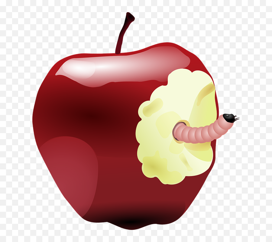 Spoiled Food With Worms Png U0026 Free - Apple Snow White Png,Worms Png