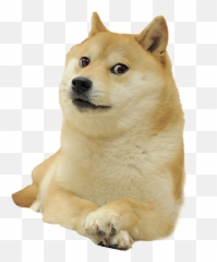 Abbadoge Png - Doge Png,Doge Png