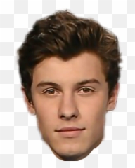 Shawn Mendes Head Png Download - Cara De Shawn Mendes Png,Shawn Mendes Png