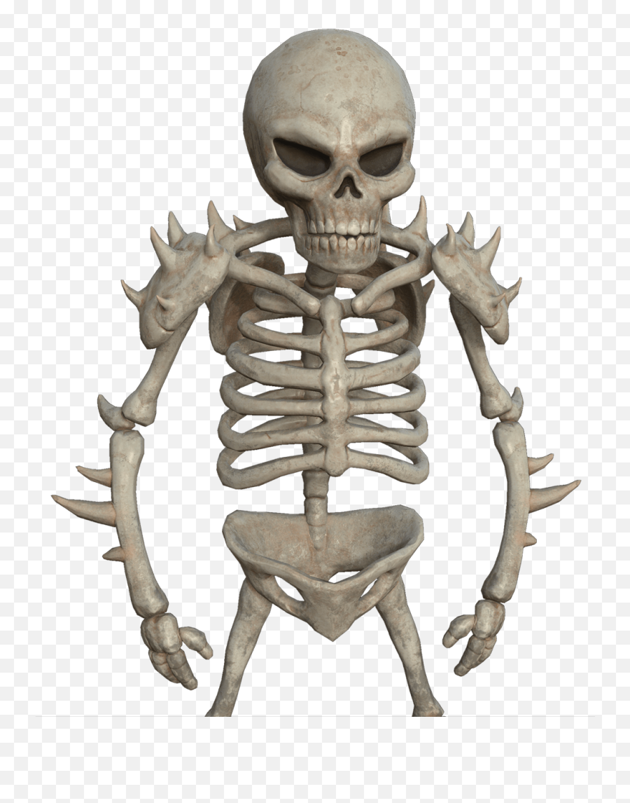 Hd Png Download - Skeleton,3d Skull Png