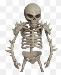Hd Png Download - Skeleton,3d Skull Png