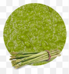 Asparagus Puree - Green Asparagus Puree Png,Asparagus Png