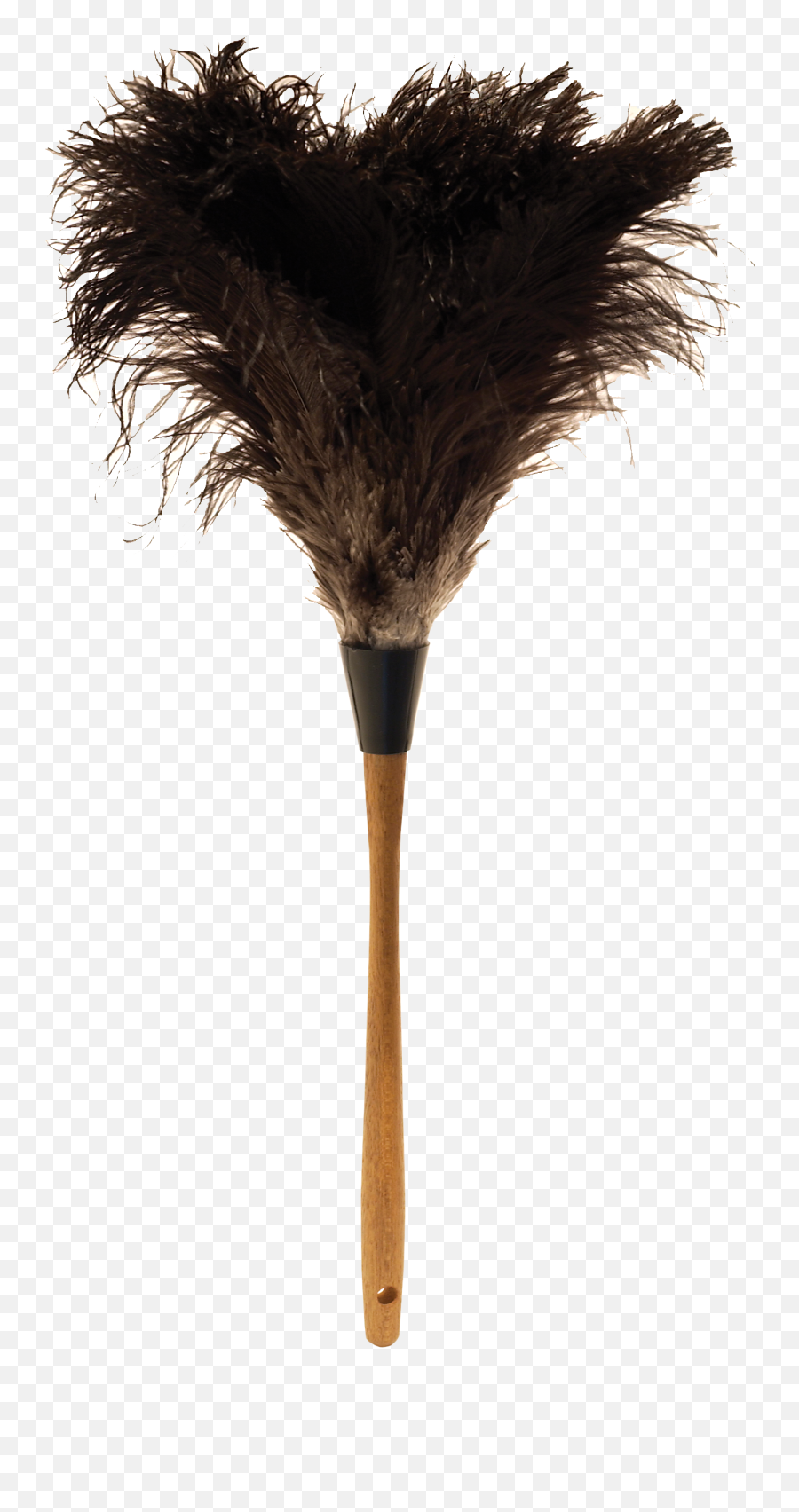 Download Ostrich Feather Png - Ostrich Feather Duster Png Feather Duster Png,Ostrich Png