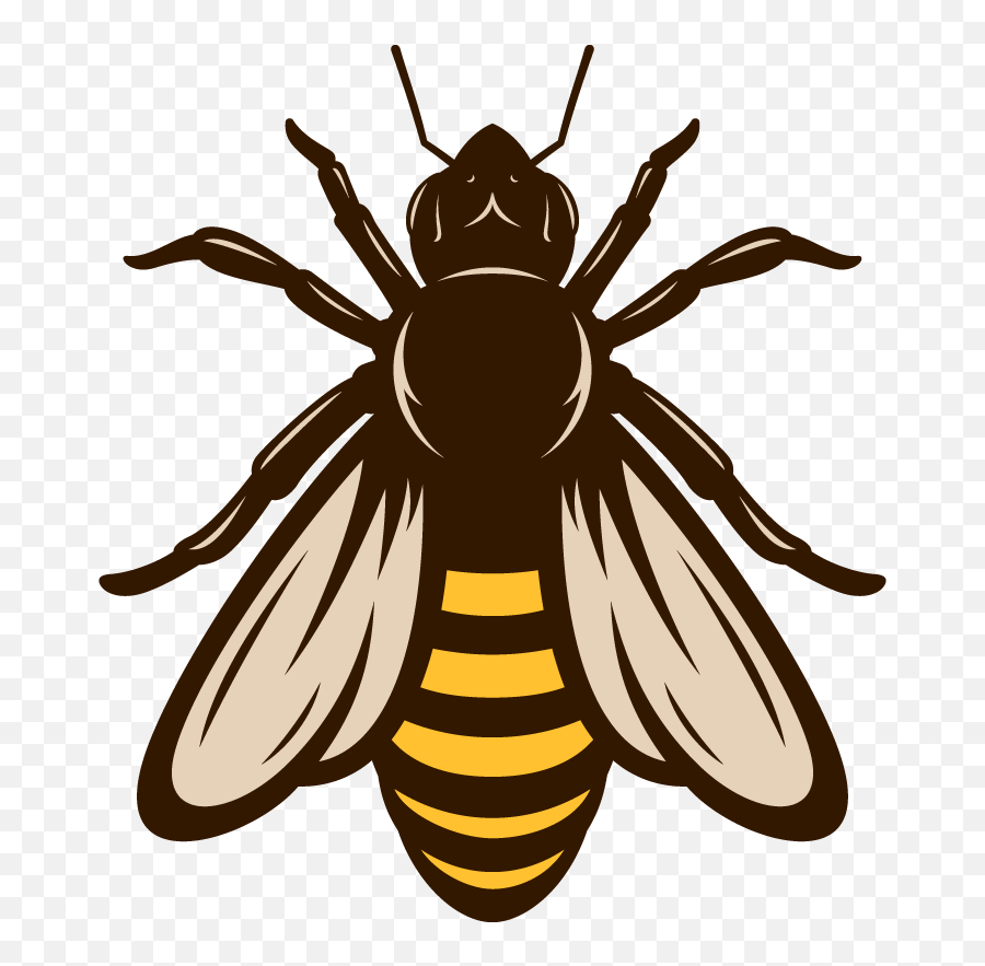 Honey Bees Png - Vector Abeja Transparent Cartoon Jingfm Honey Bee Vector  Png,Honey Bee Png - free transparent png images 