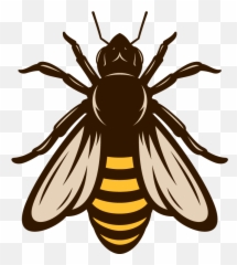 Honey Bees Png - Vector Abeja Transparent Cartoon Jingfm Honey Bee Vector Png,Honey Bee Png