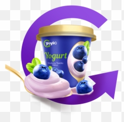Yoyic Dessert Yogurt Blueberry Vanilla - Frutti Di Bosco Png,Blueberry Png