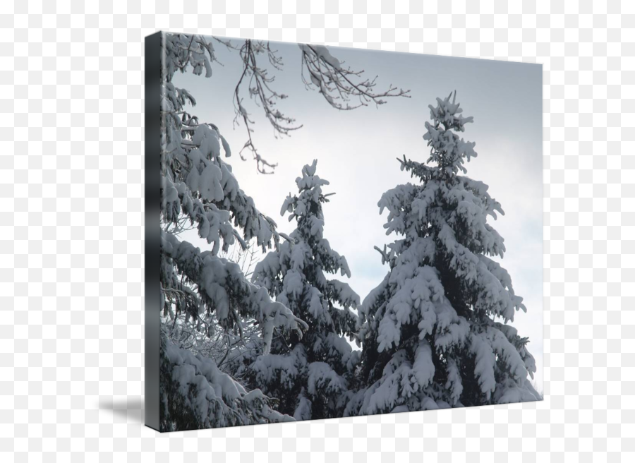 Download Clip Art Buried In By Mike - Snow Hd Png Download Snow,Snowing Png