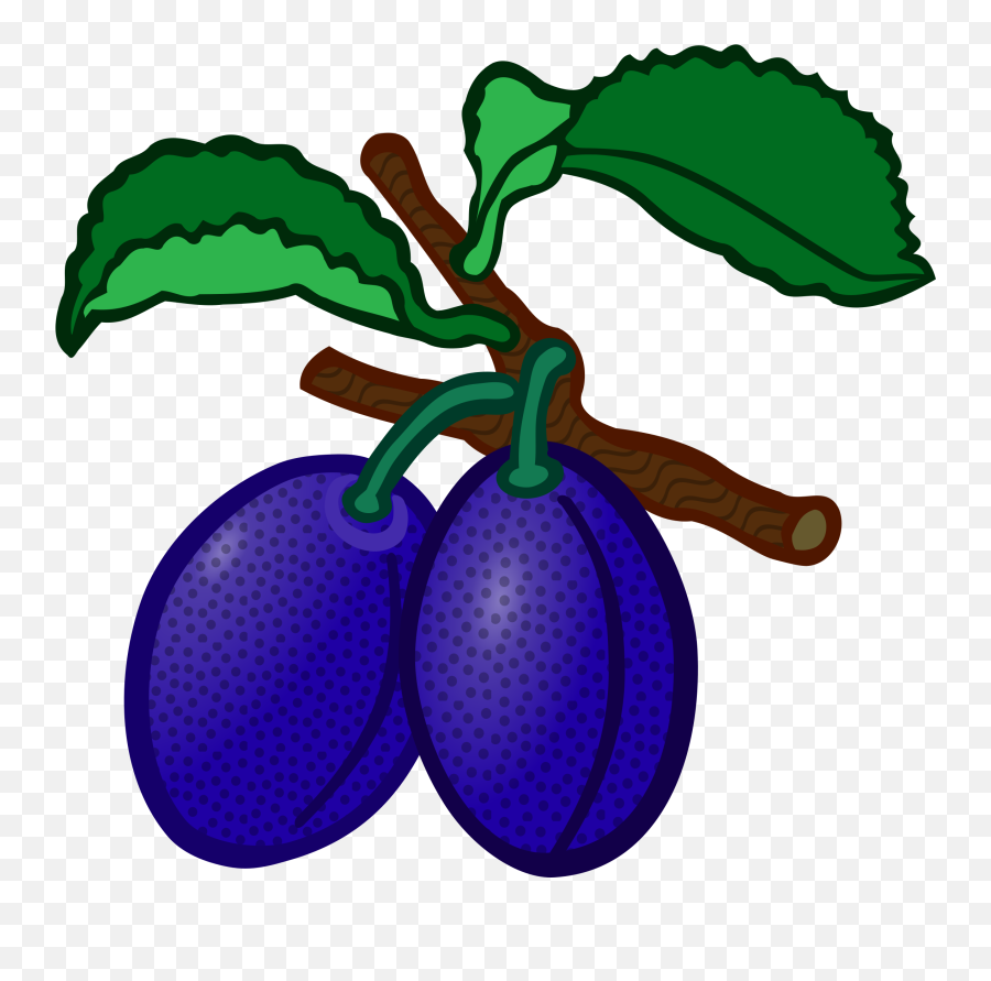 Hd Png Download - Plum Clipart,Plum Png