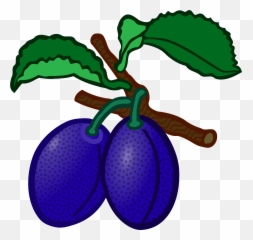 Hd Png Download - Plum Clipart,Plum Png