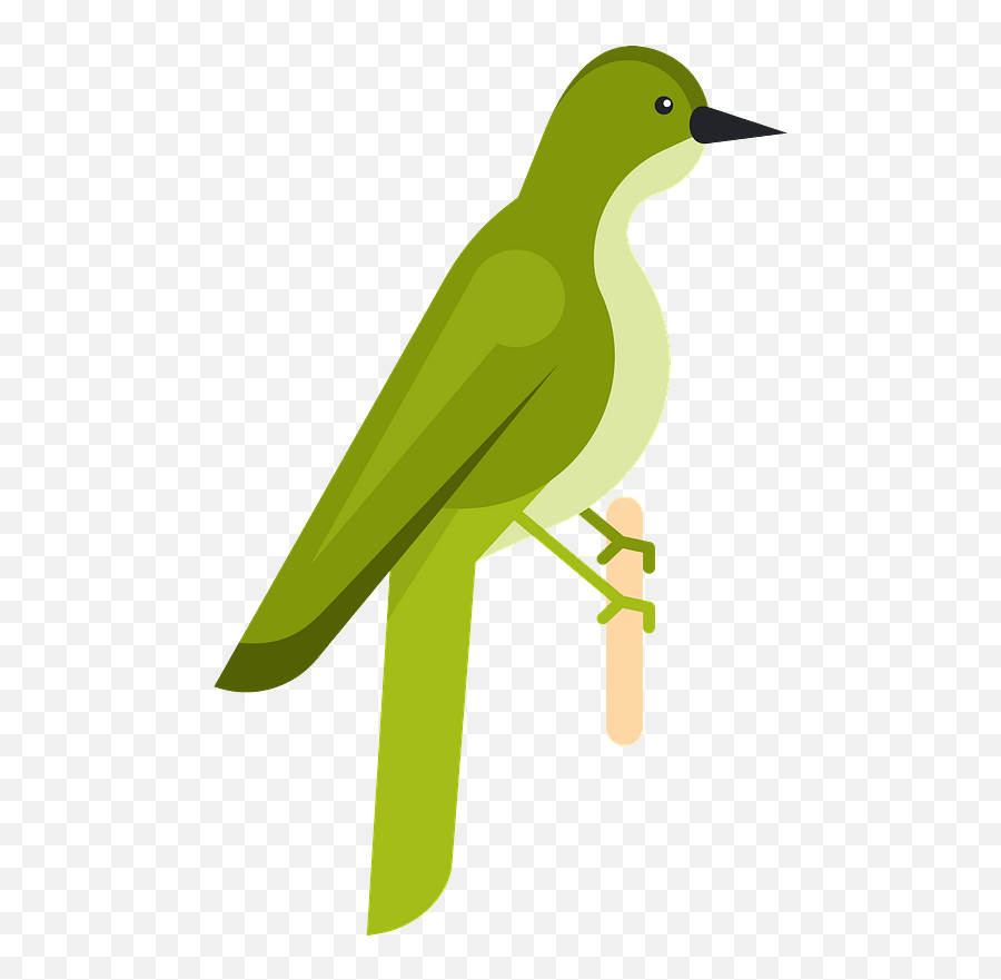 Green Bird Clipart - Old World Flycatchers Png,Bird Clipart Png