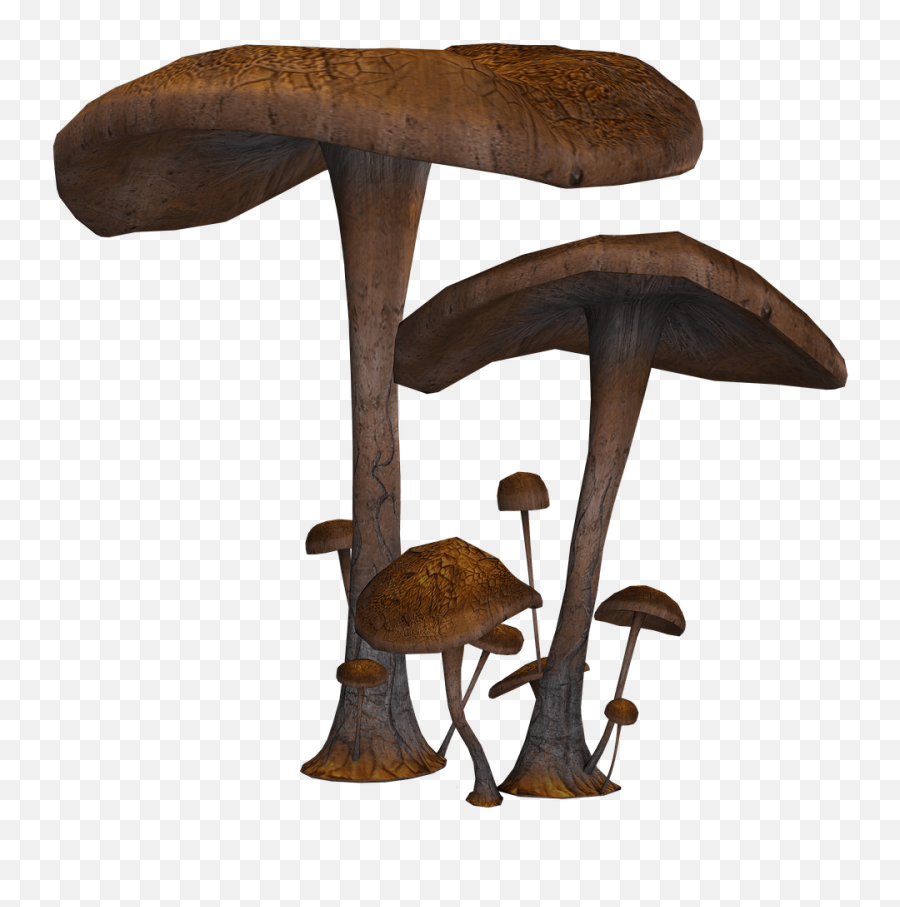 Large And Small Transparent Png - Fantasy Mushrooms Png,Mushroom Transparent