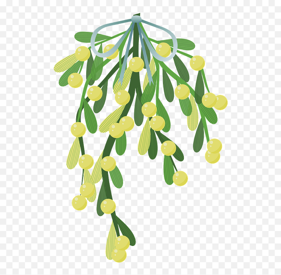 Clipart - Mistletoe Free Png,Mistletoe Png