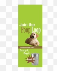 Pet Waste - Chiot Golden Png,Dog Poop Png