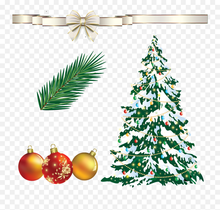 Christmas Tree Ribbon Fir Branch Png