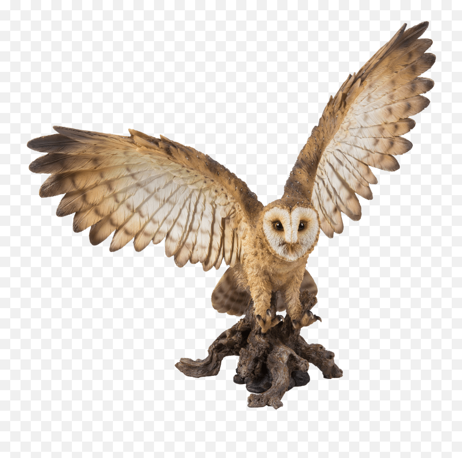 Barn Owl - Owl Png,Barn Owl Icon