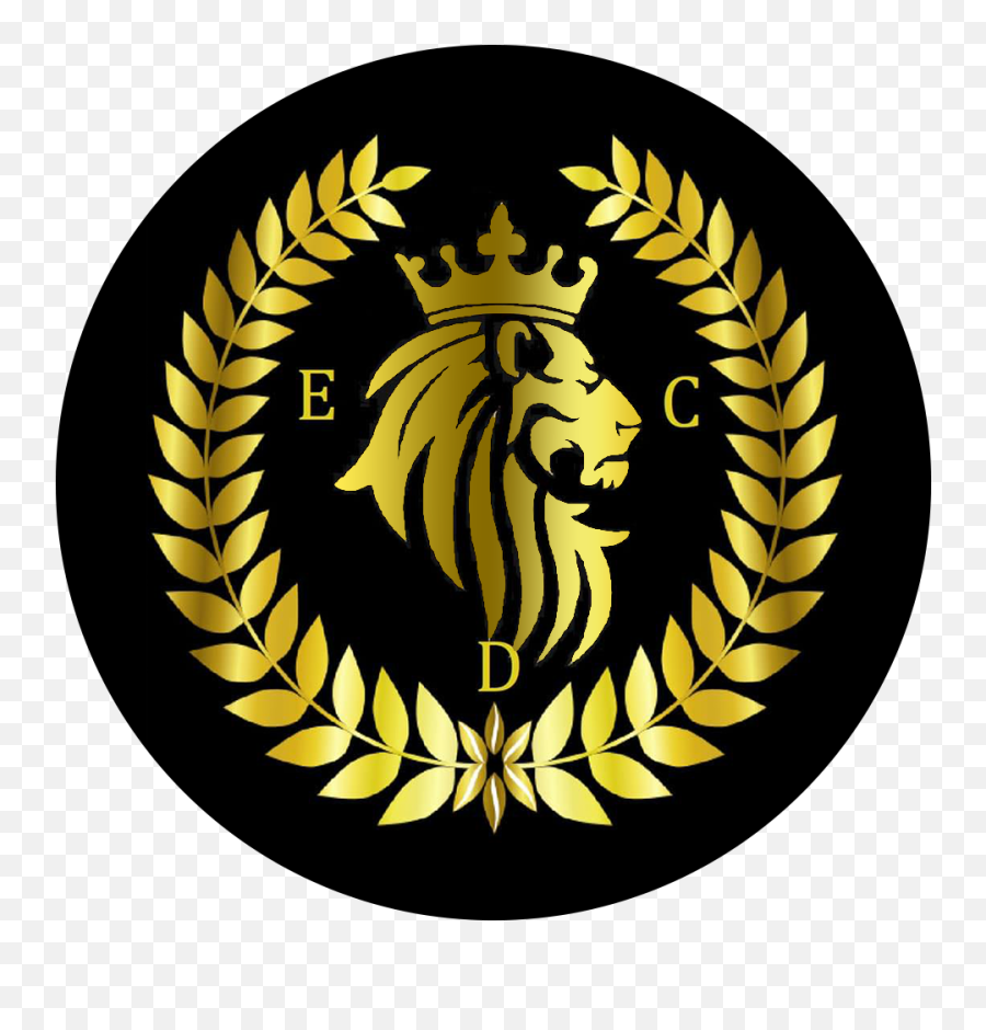 1 Elite Custom Designz Ltd - Young Visionary Png,Lion Crown Icon