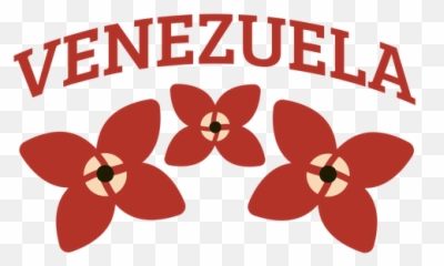 Venezuela Graphics To Download - Girly png
