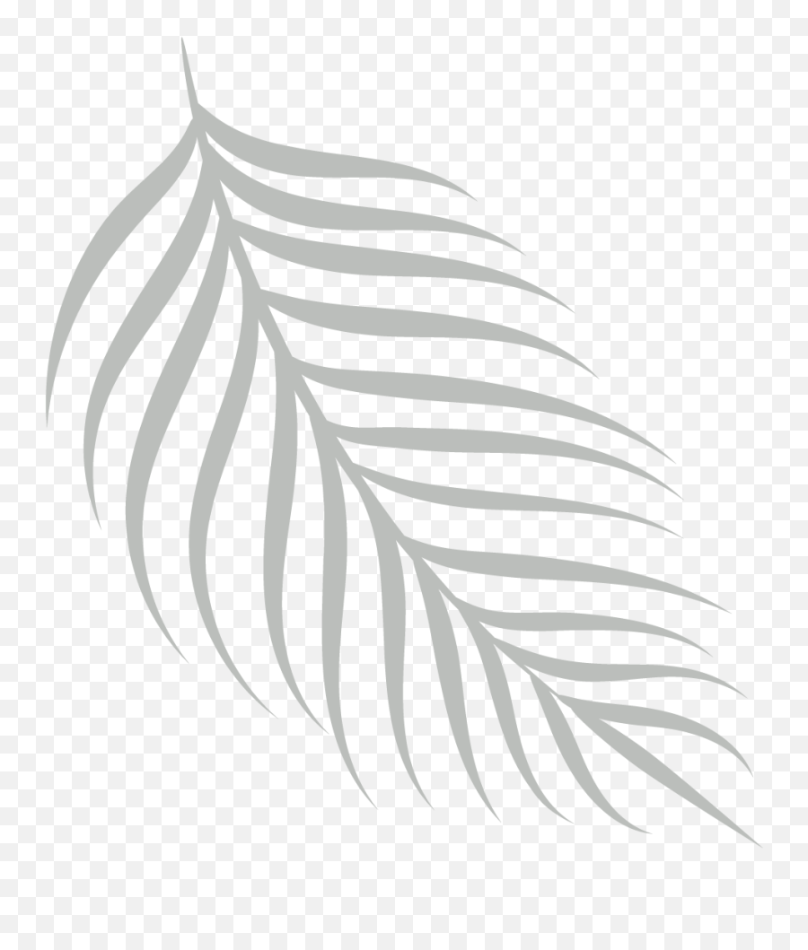 Portfolio Mckenzie Livecchi Design - Decorative Png,Palm Frond Icon