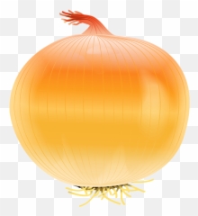 Clipart Vegetables Onion - Yellow Onion Png,Onion Png