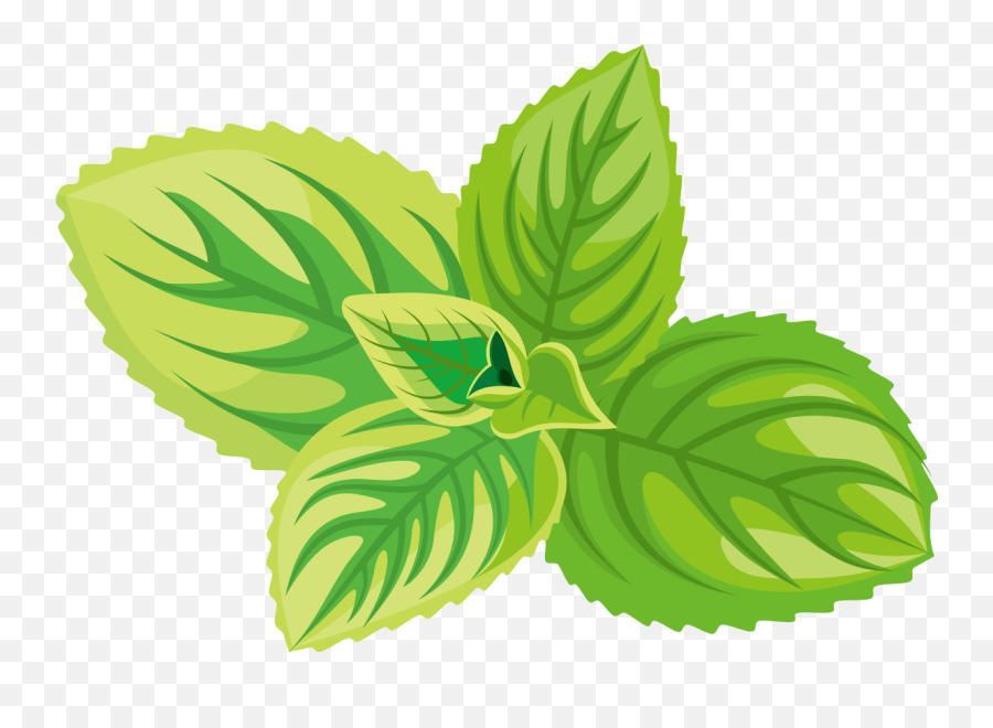 Green Tea Cosmetics Herb Icon - Herb Icon Png,Herbs Png