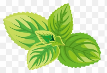 Green Tea Cosmetics Herb Icon - Herb Icon Png,Herbs Png
