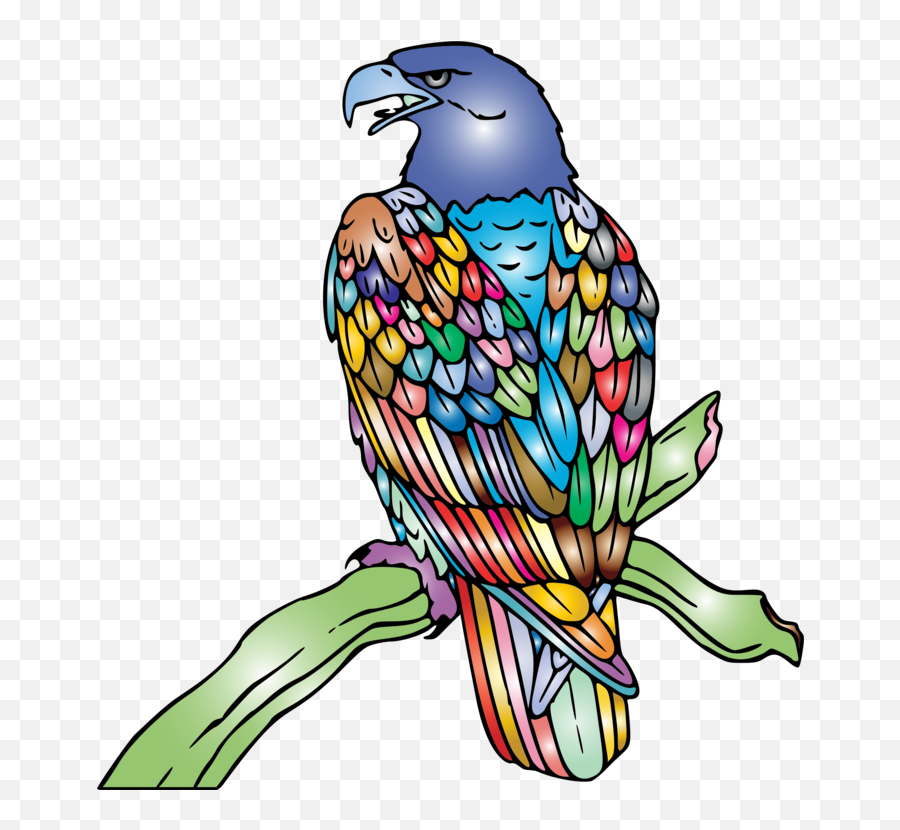 Falconiformesmacawparrot Png Clipart - Royalty Free Svg Png Eagle Clip Art,Parrot Png
