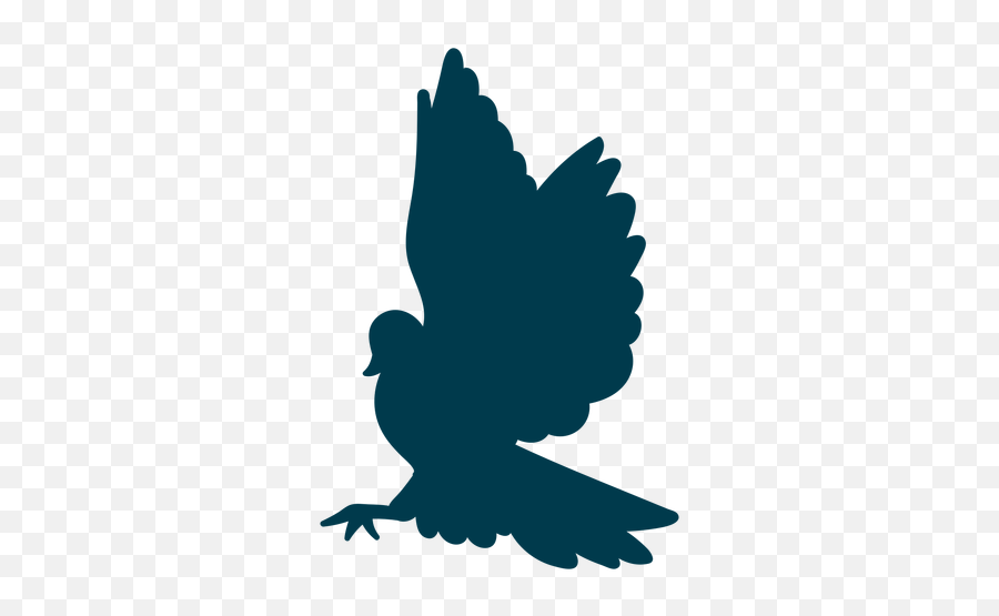 Pigeon Wing Silhouette - Transparent Png U0026 Svg Vector File Buzzard,Pigeon Png