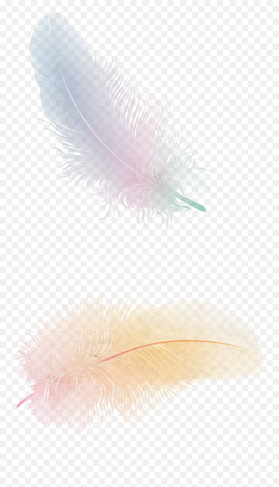 Feather Png Picture - Free Feather Png,Feather Transparent Background