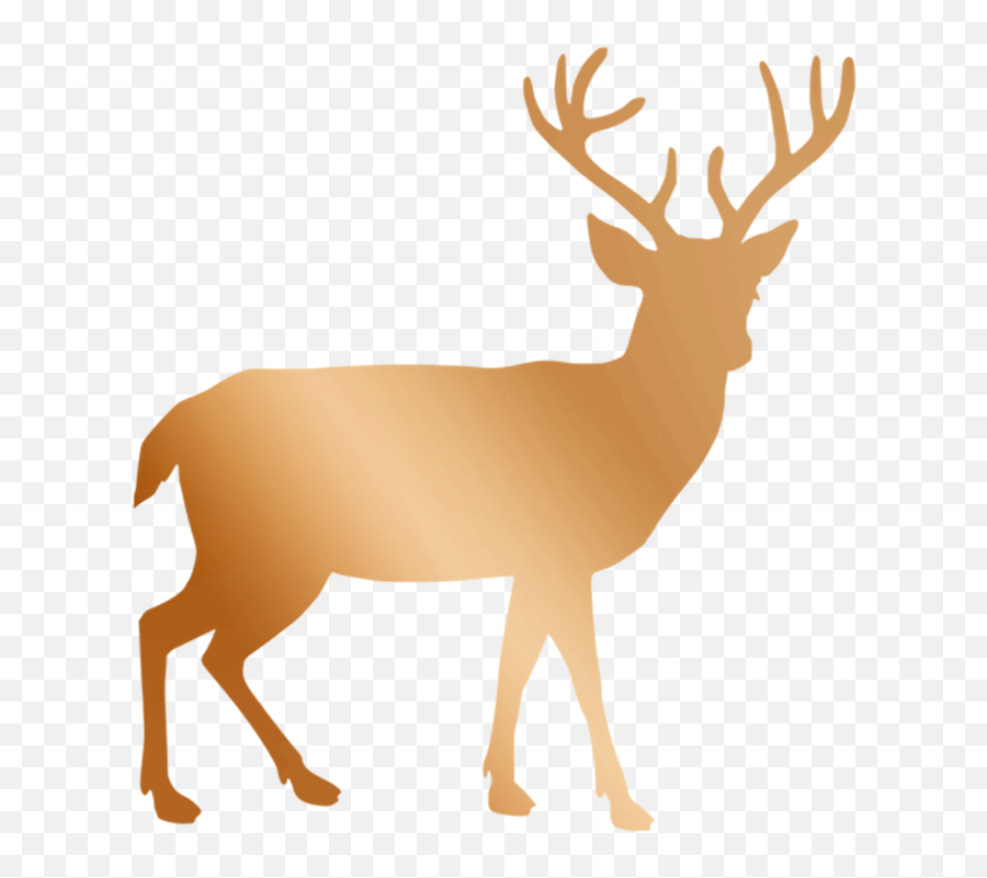 Copper Rose Gold Deer - Deer Silhouette Transparent Background Png,Deer Png