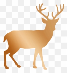Copper Rose Gold Deer - Silhouette Transparent Background png