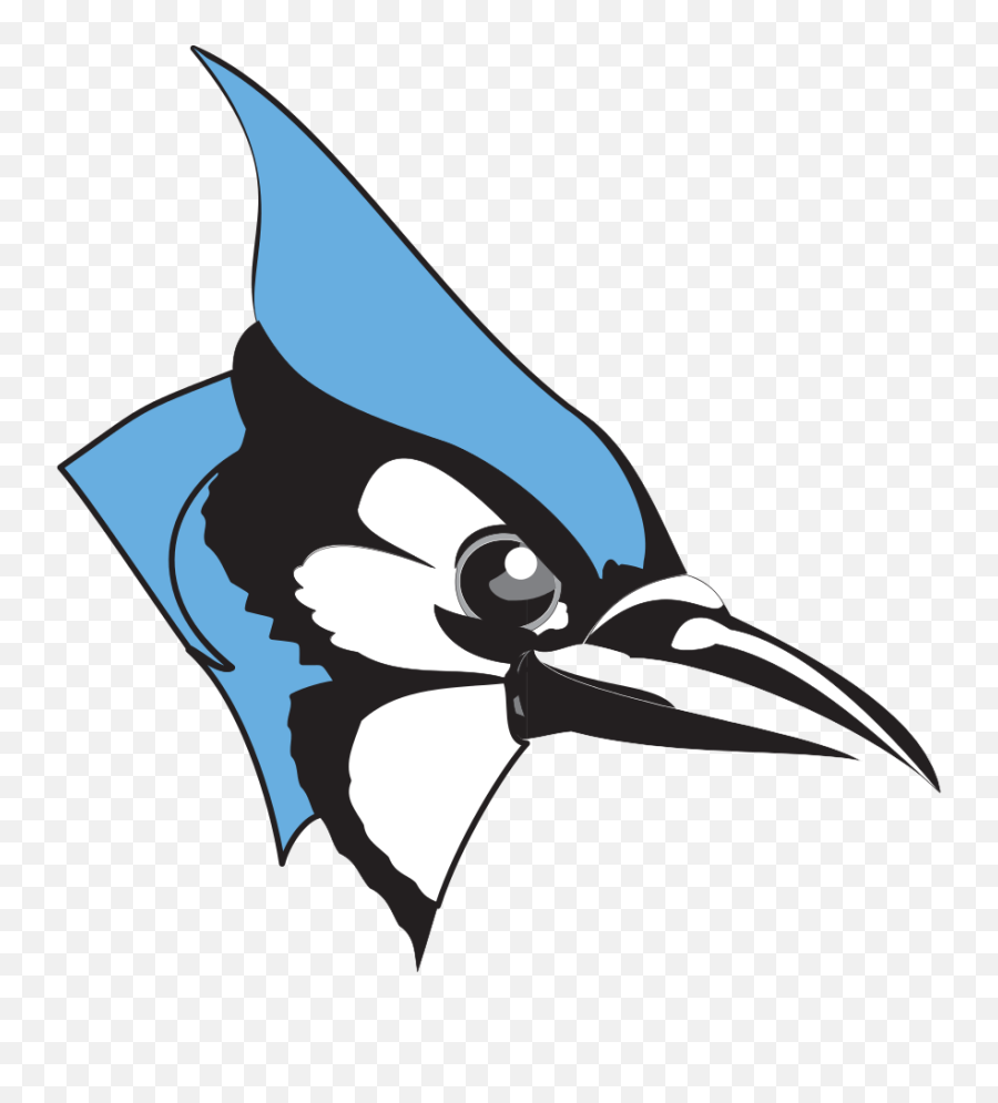 Hopkins Blue Jays - Johns Hopkins Blue Jays Png,Blue Jay Png