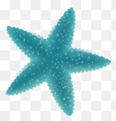 Download Blue Starfish Deep Ocean Decoration Vector Sea - Png Creatures