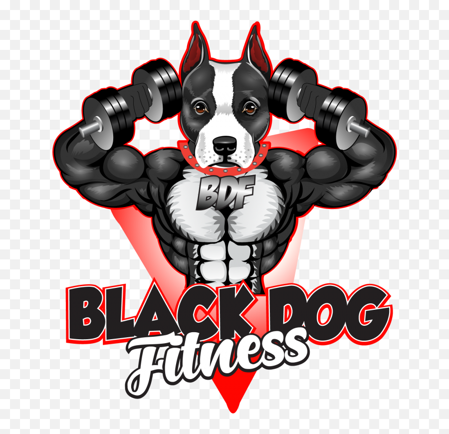 About U2013 Black Dog Fitness - Companion Dog Png,Black Dog Png