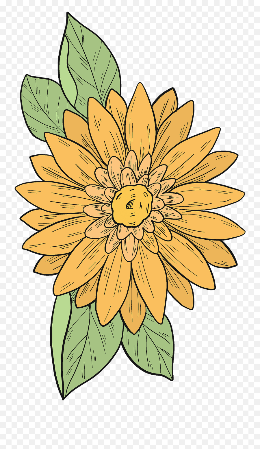 Yellow Flower Clipart Free Download Transparent Png - African Daisy,Yellow Flowers Png