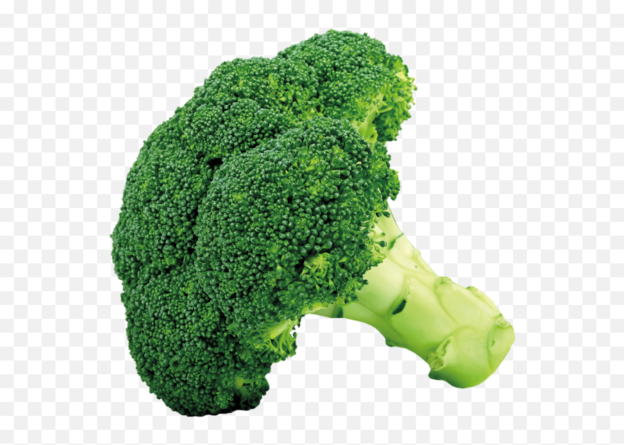 Broccoli Png Picture Vegetables - Transparent Broccoli Png,Brain Clipart Transparent Background