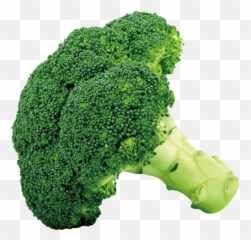 Broccoli Png Picture Vegetables - Transparent Png