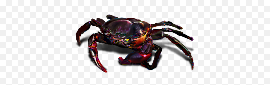 Oobites Puu Naa Rice Paddy Crab Png