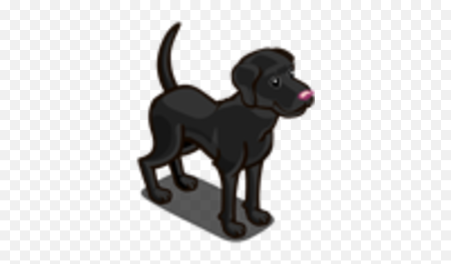 Black Lab Farmville Wiki Fandom - Ancient Dog Breeds Png,Black Lab Png