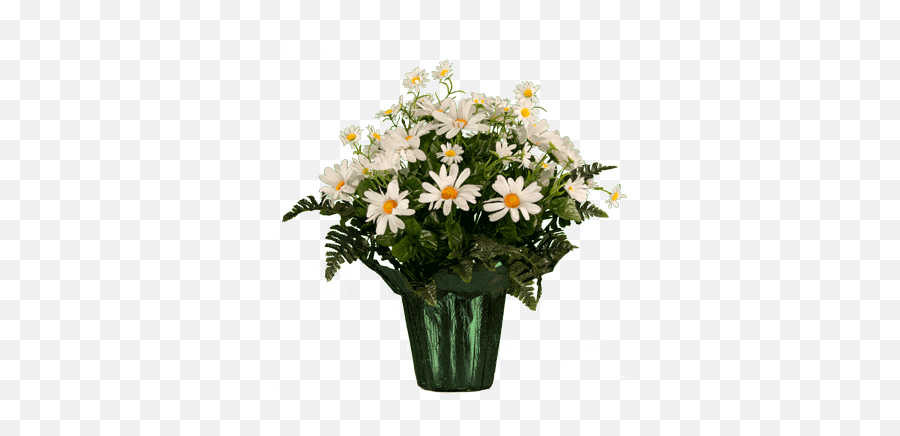 White Daisy Wildflowers Pt1961 - Vase Png,White Daisy Png