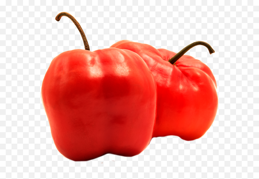 Red Hot Pepper Whole Rocoto Entero - Ultra Orange Foods Rocoto Png,Red Pepper Png