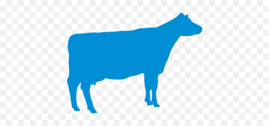 Cattle Png