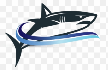 Shark Logo - Great White Shark Png,Shark Logo Png