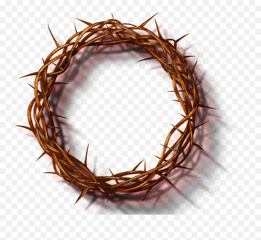 Jesus Crown Thorns Of - Free Image On Pixabay Twig Png,Crown Of Thorns Transparent