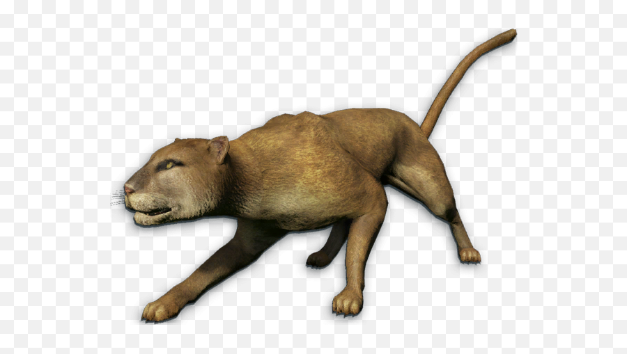 Mountain Lion Png 5 Image - Far Cry 3 Thylacine,Mountain Lion Png