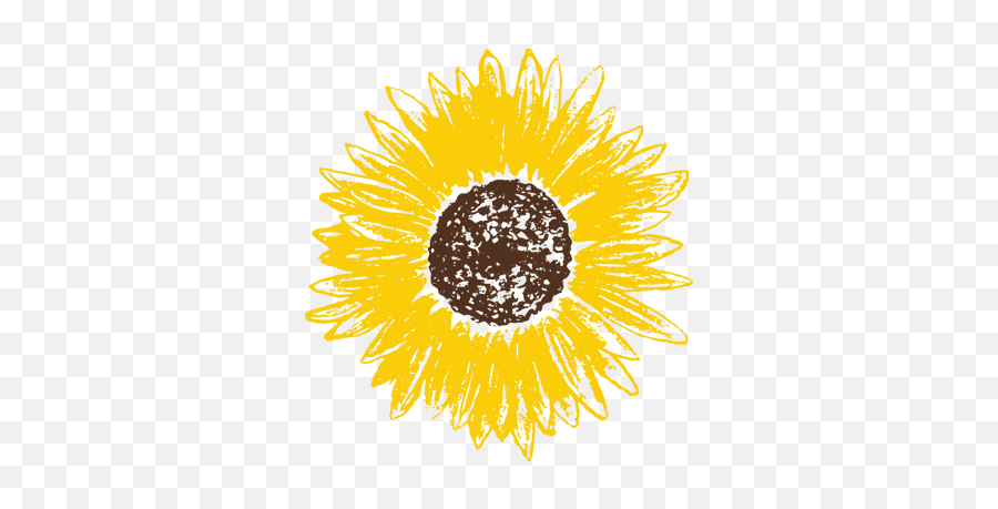Home Pay It Forward Lvz - Dot Png,Sunflower Icon
