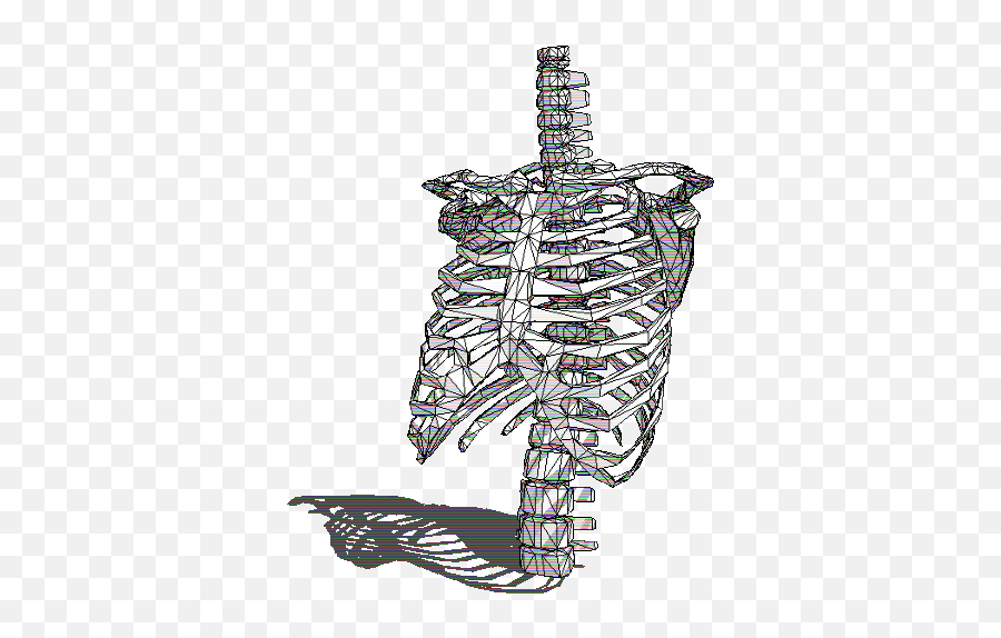 Transparent Skeleton Gif - Skeleton Gifs Transparent Png,Skeleton Gif Transparent