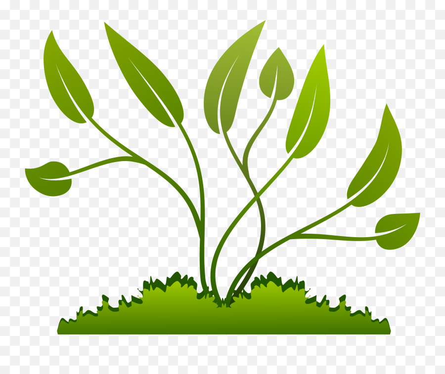 Hq Icon Favicon - Plant Png,Grow Icon Png