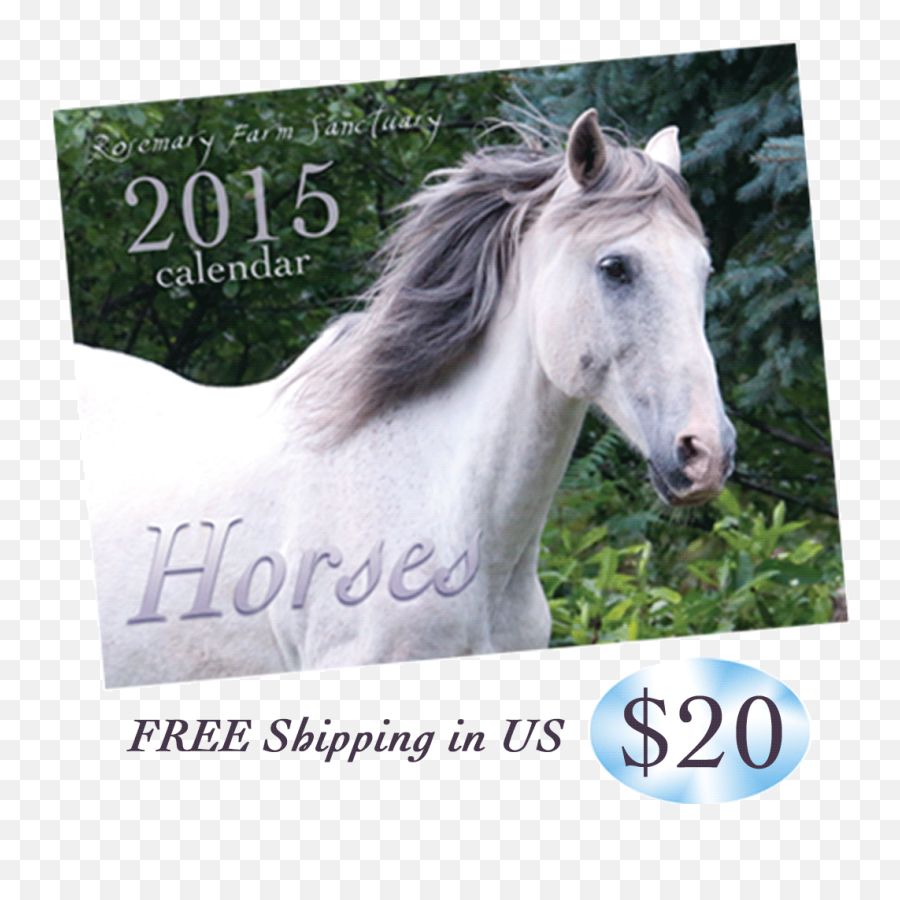Index Of Shopimages - Stallion Png,Fb Icon Image