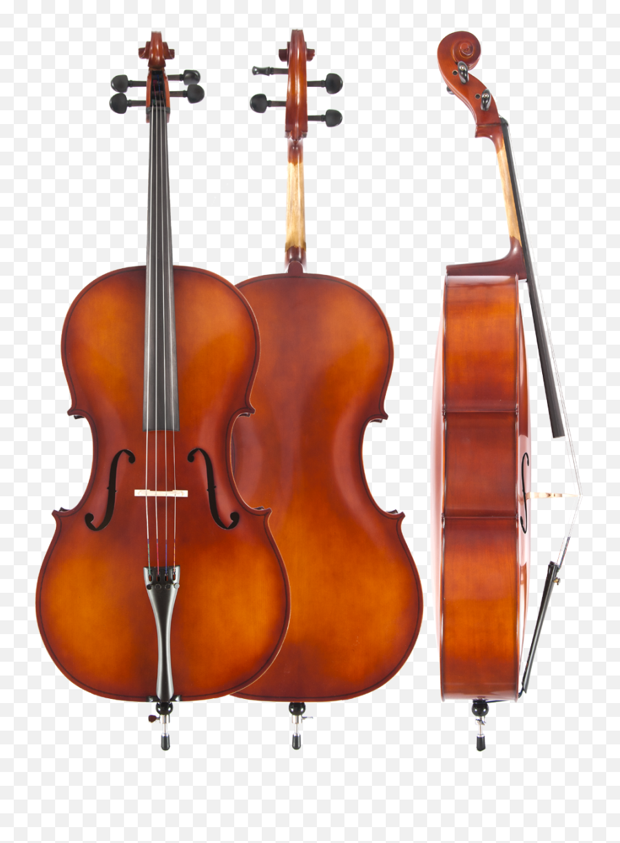 Student Cellos Amatiu0027s Fine Instruments - Ming Jiang Zhu Cello Png,Cello Png