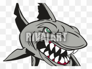 Shark Clipart Mean - Mean Shark Clipart Png,Shark Clipart Transparent Background